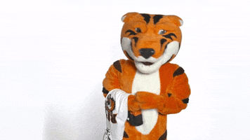 Confused College GIF by Rochester Institute of Technology
