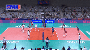 France Yes GIF by Volleyball World