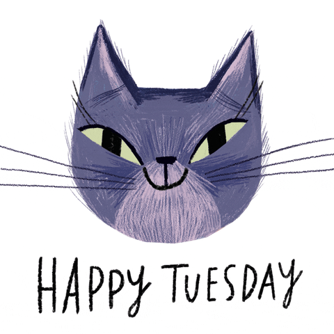 Illustrated gif. Floating head of dark purple cat winks, surrounded by little red hearts that appear and disappear. Text reads, "Happy Tuesday."