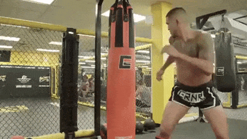 Anthony Pettis Ufc 241 Embedded GIF by UFC