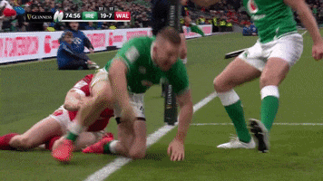 Celebrate Rugby Union GIF by Guinness Six Nations