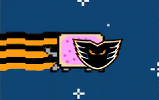 Lehigh Valley Phantoms GIF