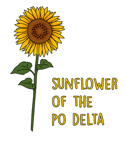 parcodeltapo Sticker