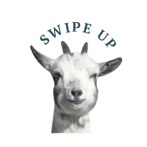 Bend Soap Company Sticker