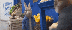Food Sony GIF by Peter Rabbit Movie