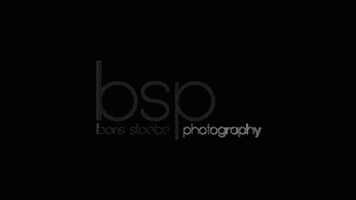 BSPmedia GIF