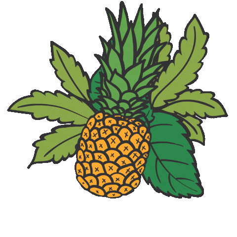 Pineapple Express Sticker by CannaSmack