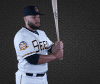 Dinger-hit GIFs - Get the best GIF on GIPHY