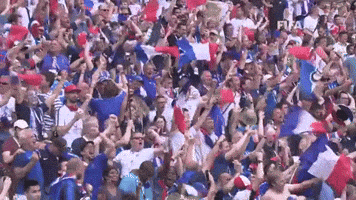 Happy France GIF by FIFA