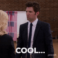 Season 4 Episode 22 GIF by Parks and Recreation