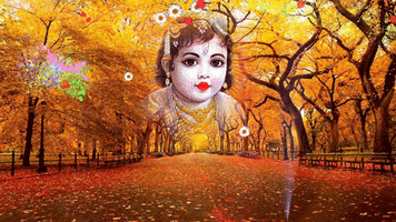Happy Holi GIF