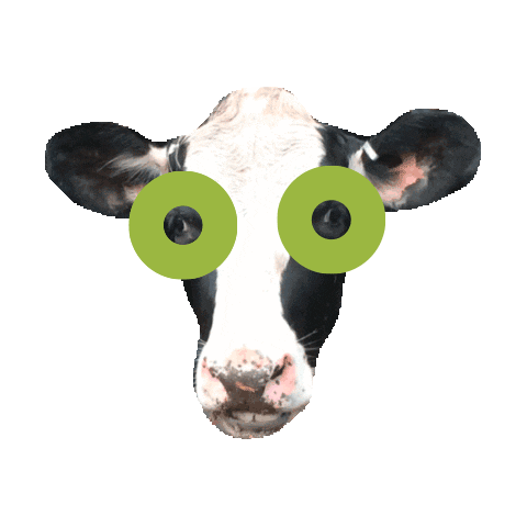 Mucca Burgers Shake Sticker