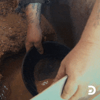 Winning Gold Rush GIF by Discovery