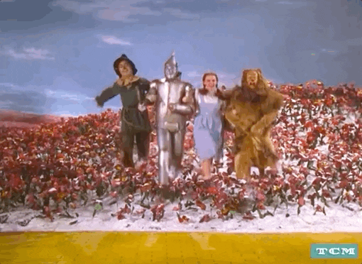 Wizard Of Oz GIFs - Get the best GIF on GIPHY