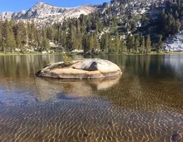 Frog Lake Sierras GIF by Justin