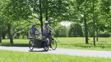 Bafang GIF
