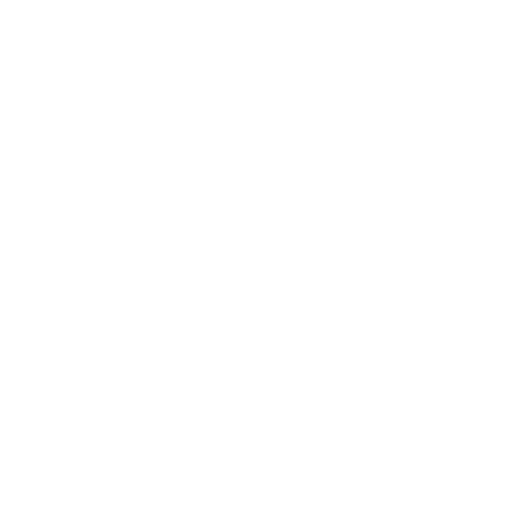 EESTEC Sticker