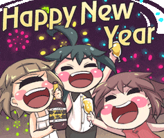 Happy New Year Fireworks GIF by Jin