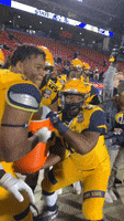 Kent State Win GIF by Kent State Football