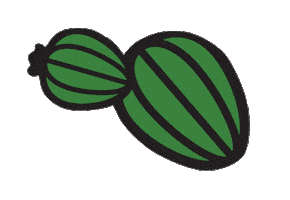 Cactus Sticker by Stellar Factory