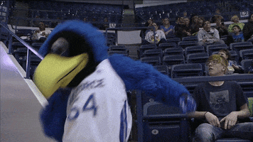 Air Force Academy Falcons GIF by Air Force Athletics
