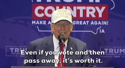Donald Trump GIF