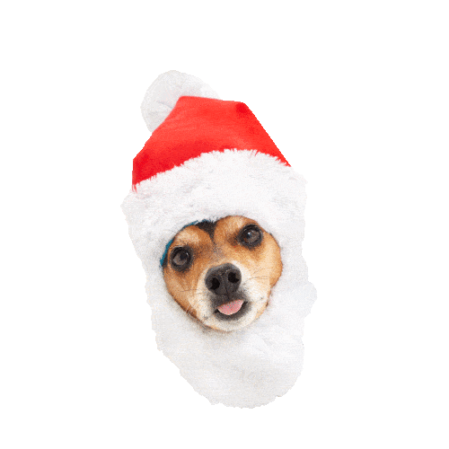 Christmas Dogs Sticker by BARKBOX