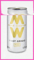 Fun Glitch GIF by Most Wanted Wines