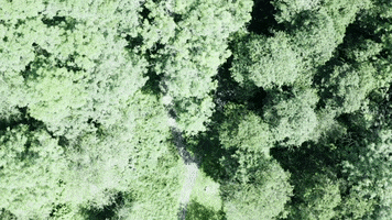 Earth Looking Down GIF by DeeJayOne