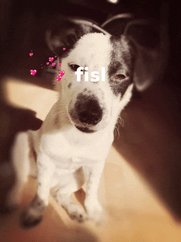 Fisl GIF