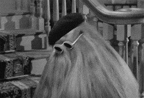 tv shows 1960s GIF