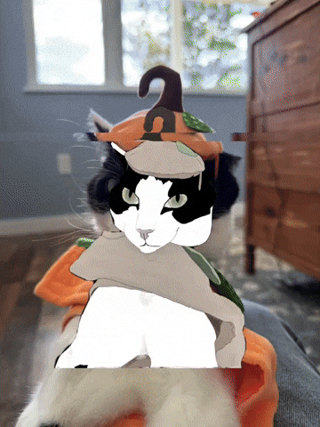 Cat Halloween GIF