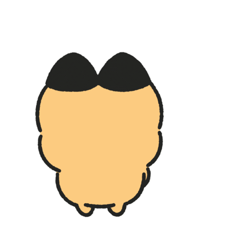 Photo Camera Sticker