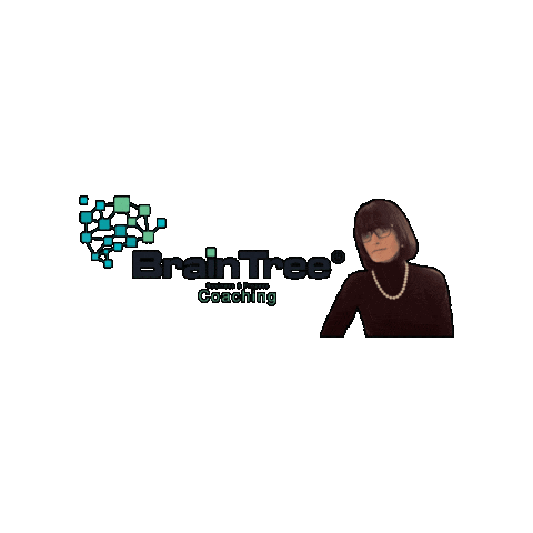 BrainTreeSolutions Sticker