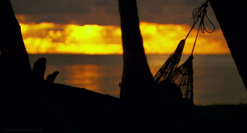 last chance to see sunset GIF by Head Like an Orange