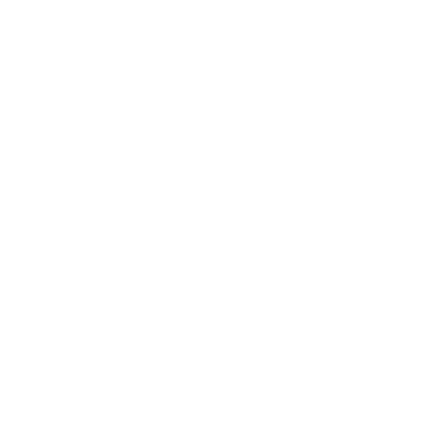 Fast Shipping Sticker