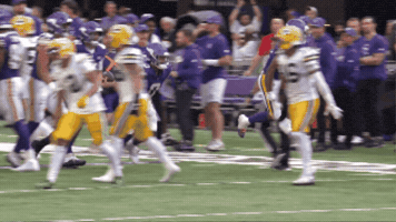 GIF by Minnesota Vikings
