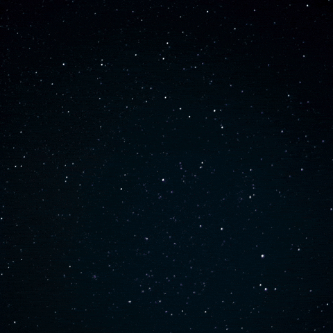 Effective Buddhism GIF