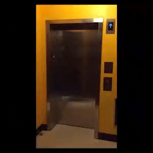 AS220 GIF