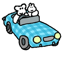 Car Drive Sticker