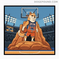 Winning Shiba Inu GIF by Doge Pound