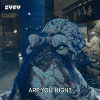 200.gif?cid=fc005b08230503ba9a1f0110b6a885523ab2af2b55ded382&rid=200.gif&ct=g