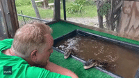Man Sings to Try to Soothe Alligators Distressed by Hurricane Ian