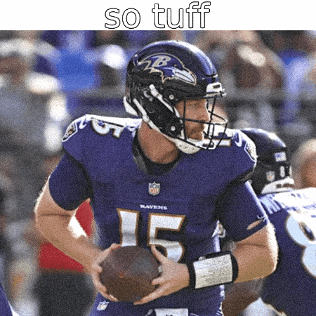 Baltimore Ravens GIF