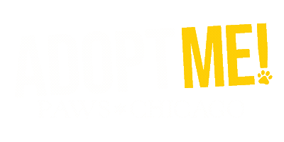Sticker by PAWS Chicago