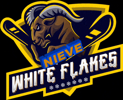 White Flakes Padel GIF