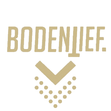 Logo Car Sticker by bodentief