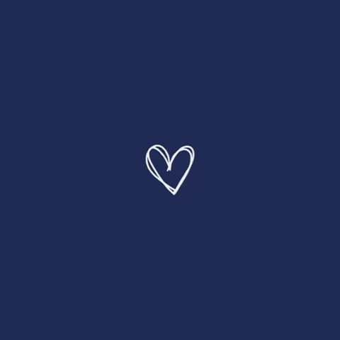 Air Montenegro GIF
