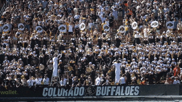 University Of Colorado Coloradobuffaloes GIF by CUBoulder