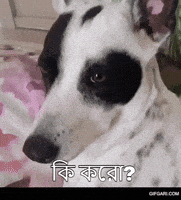 Bangla Bengali GIF by GifGari